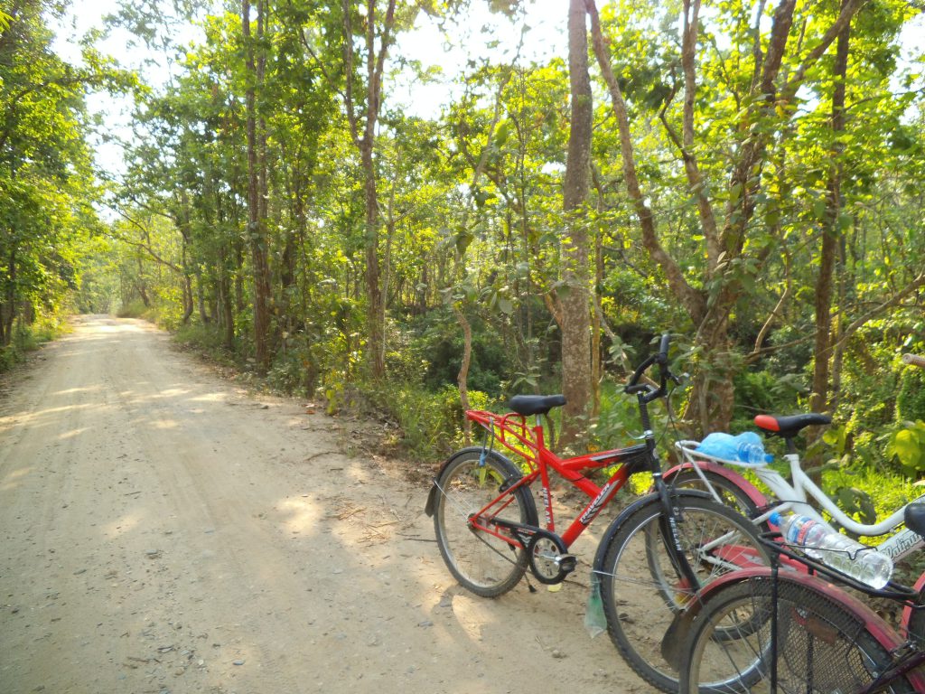 Biking in the jungle