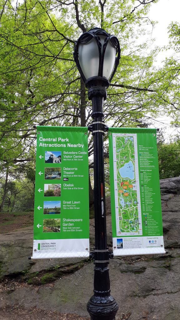 What to do in Central Park?